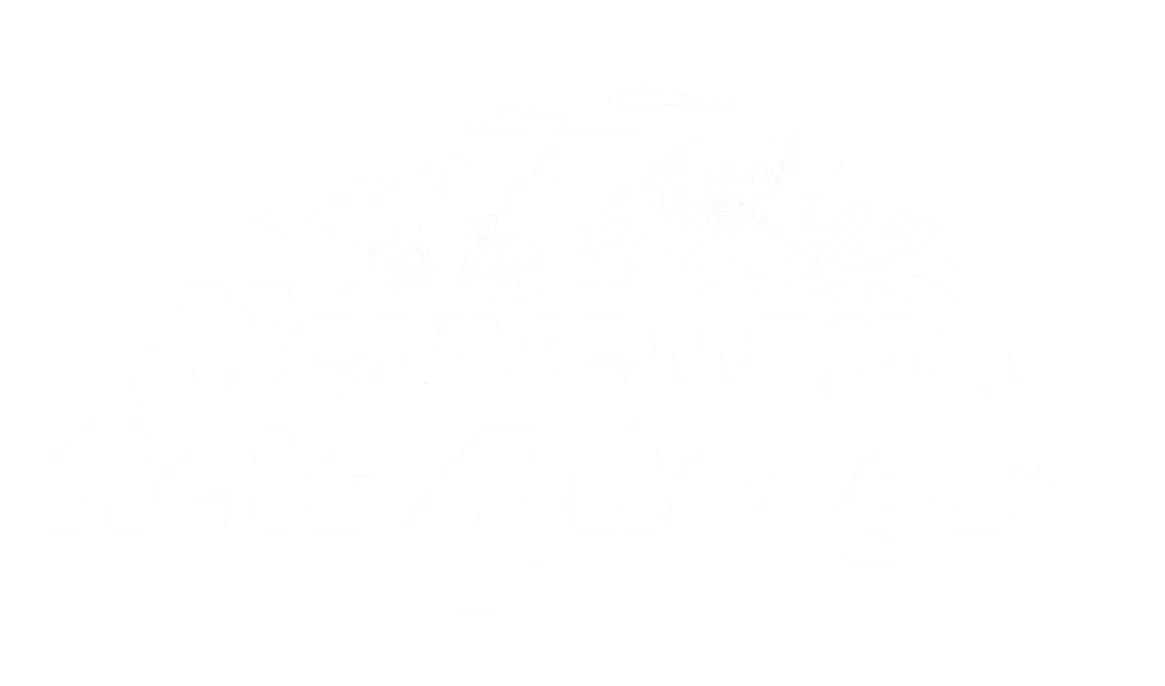 Heuvelland fiets 4 daagse
